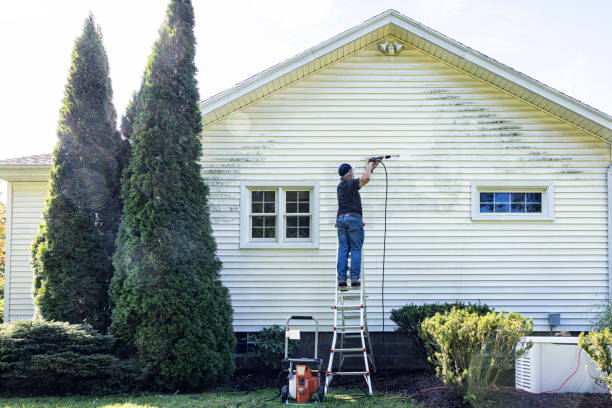 Best Fence Cleaning  in Brushy Creek, TX